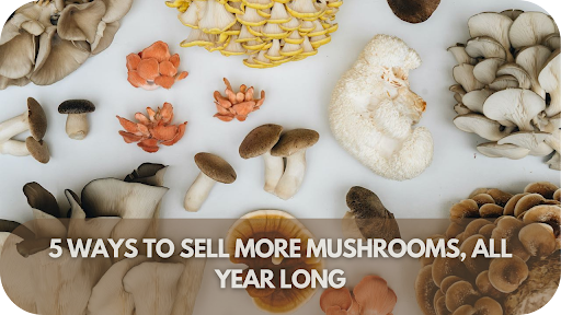 7 Ways to Sell More Mushrooms, All Year Long