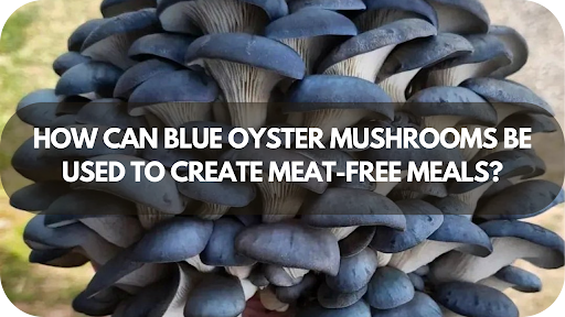 Blue Oyster Mushrooms: The Game-Changer for Meatless Recipes You Need to Try!