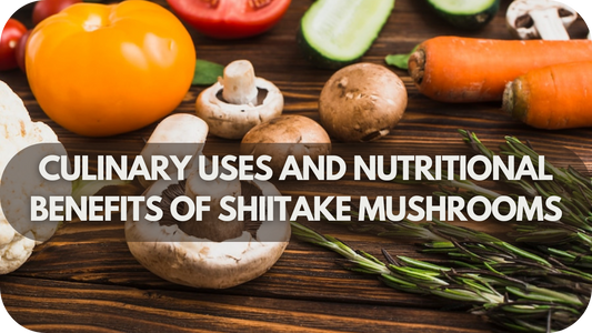 Culinary Uses and Nutritional Benefits of Shiitake Mushrooms
