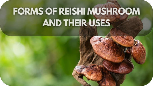 From Tea to Capsules: The Top Reishi Mushroom Forms You Need to Try