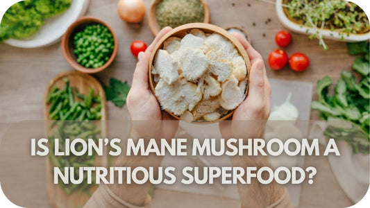 Is Lion’s Mane Mushroom a Nutritious Superfood?