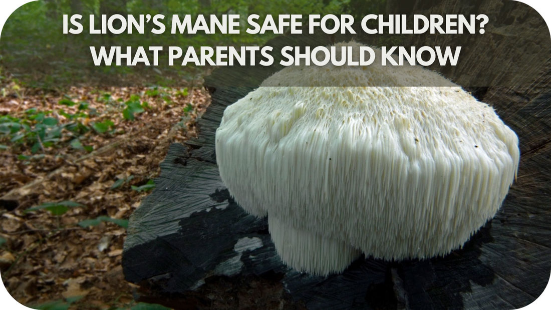 Is Lion’s Mane Safe for Children? What Parents Should Know!