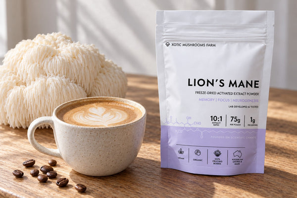 Mushroom Coffee in Australia: What It Is and How to Choose