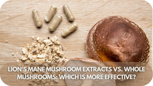 Lion’s Mane Mushroom Extracts vs. Whole Mushrooms: Which Is More Effective?