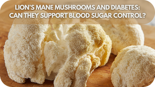 Lion’s Mane Mushrooms and Diabetes Natural Support for Blood Sugar Control