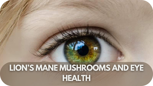 Lion’s Mane Mushrooms and Eye Health: Can They Protect Your Vision?
