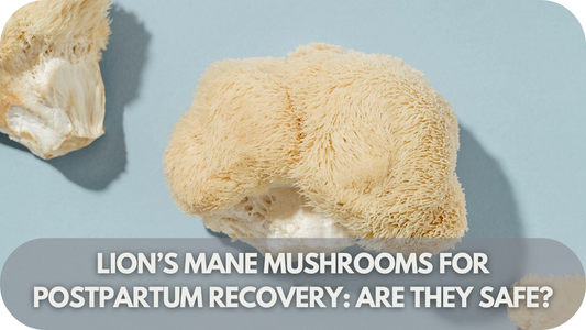 Lion’s Mane Mushrooms for Postpartum Recovery: Are They Safe?