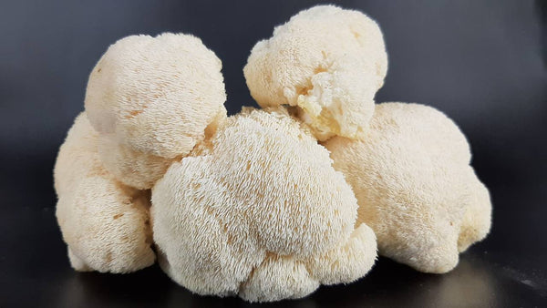 Exploring the Synergy: Lion’s Mane and Other Superfoods for Optimal Health