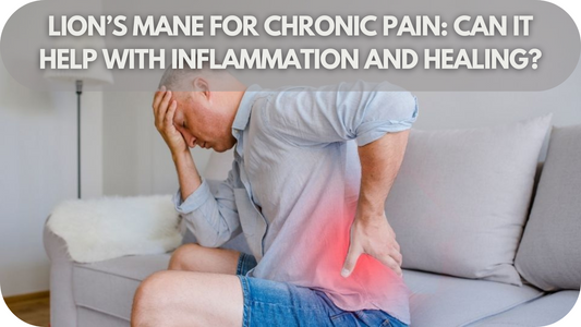 Lion’s Mane for Chronic Pain: Can It Help with Inflammation and Healing?