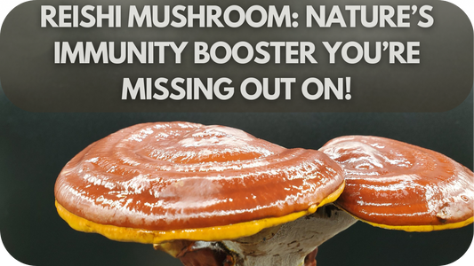 Reishi Mushroom: Nature’s Immunity Booster You’re Missing Out On!