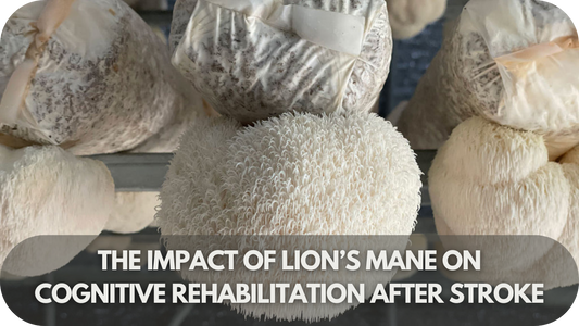 Lion’s Mane mushroom benefits for cognitive recovery after stroke.
