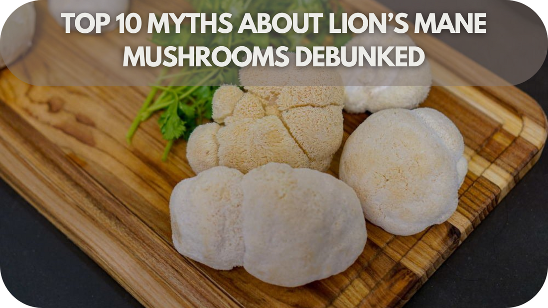 Top 10 Lion’s Mane Myths Debunked: The Truth You Need to Know!