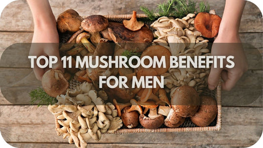 Top 11 Mushroom Benefits for Men
