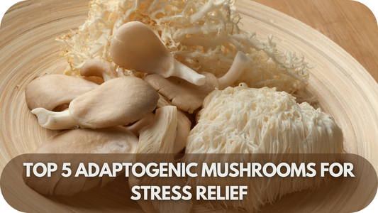 Top 5 Functional Mushroom Blends for Optimal Health in 2025
