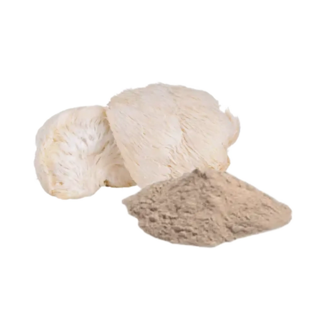Where to Get Lion's Mane Mushroom Powder in Newcastle