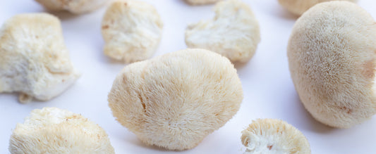 Where to Source Lion's Mane Mushroom Products in Wollongong