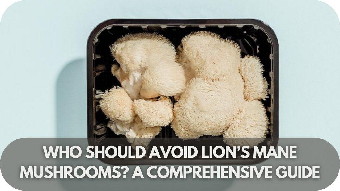 Who Should Avoid Lion’s Mane Mushrooms? A Comprehensive Guide!