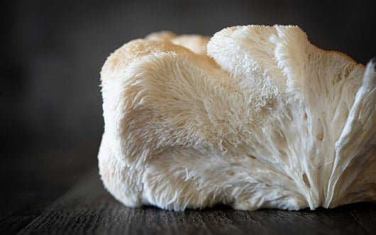 Does Lion’s Mane Help with Dementia?