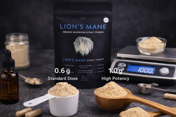Dosage and Potency in Lion’s Mane Extract Powders