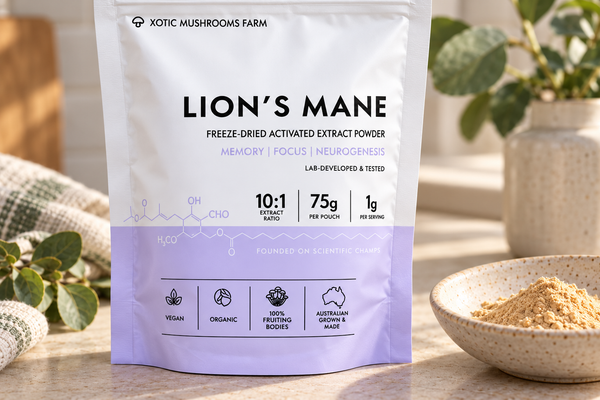 What "10:1" and "Fruiting Body" Mean on a Lion's Mane Label