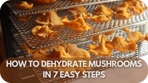 How to Dehydrate Mushrooms in 7 Easy Steps