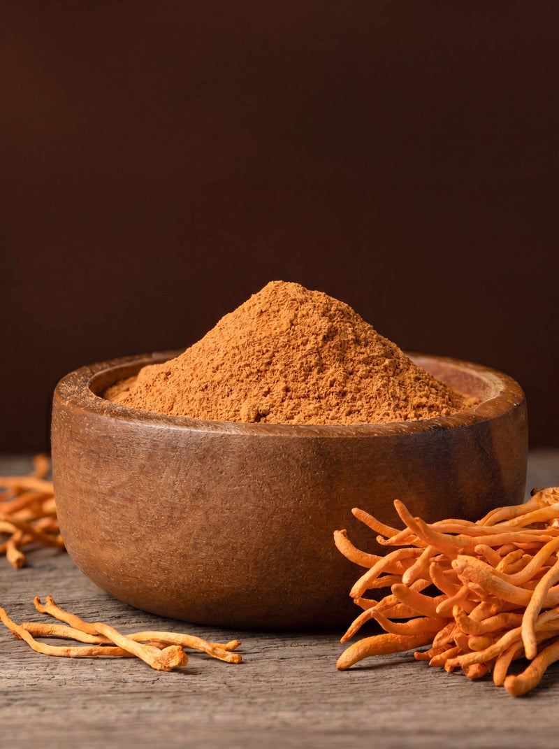 Cordyceps Extract Powder