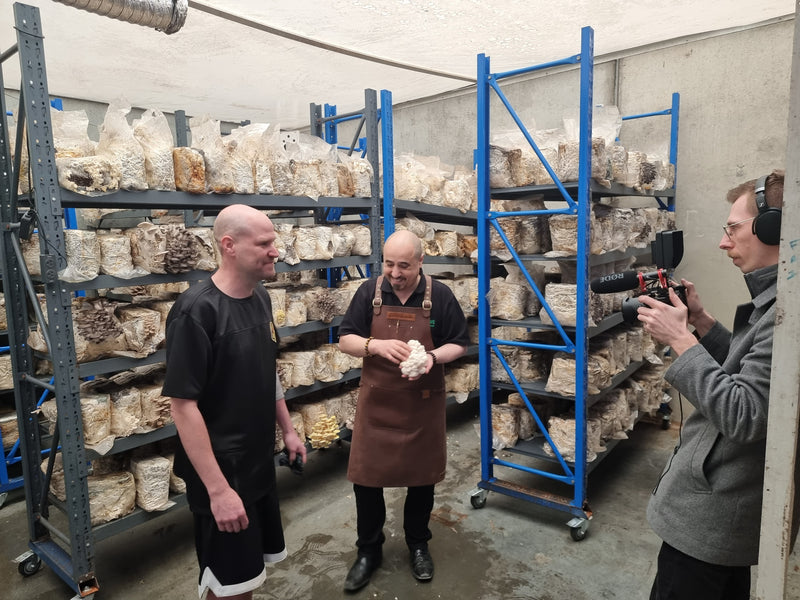 Visitors filming inside the Xotic grow room