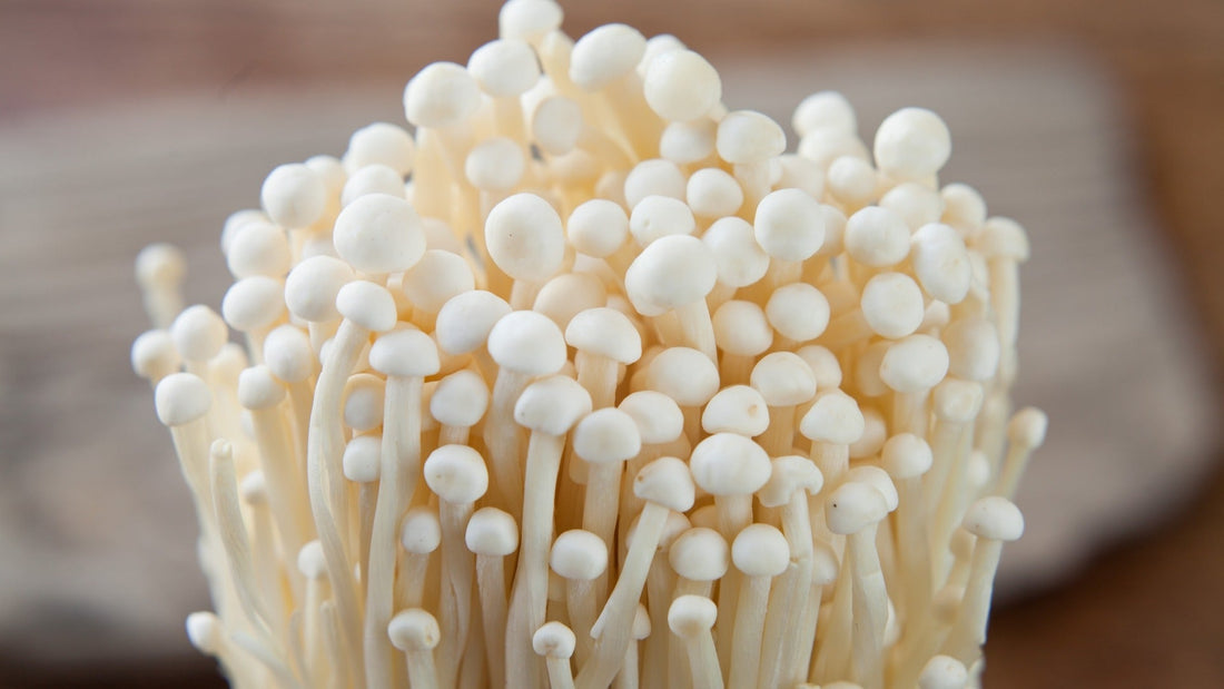 10 Incredible Benefits of Enoki Mushrooms - Xotic Mushrooms
