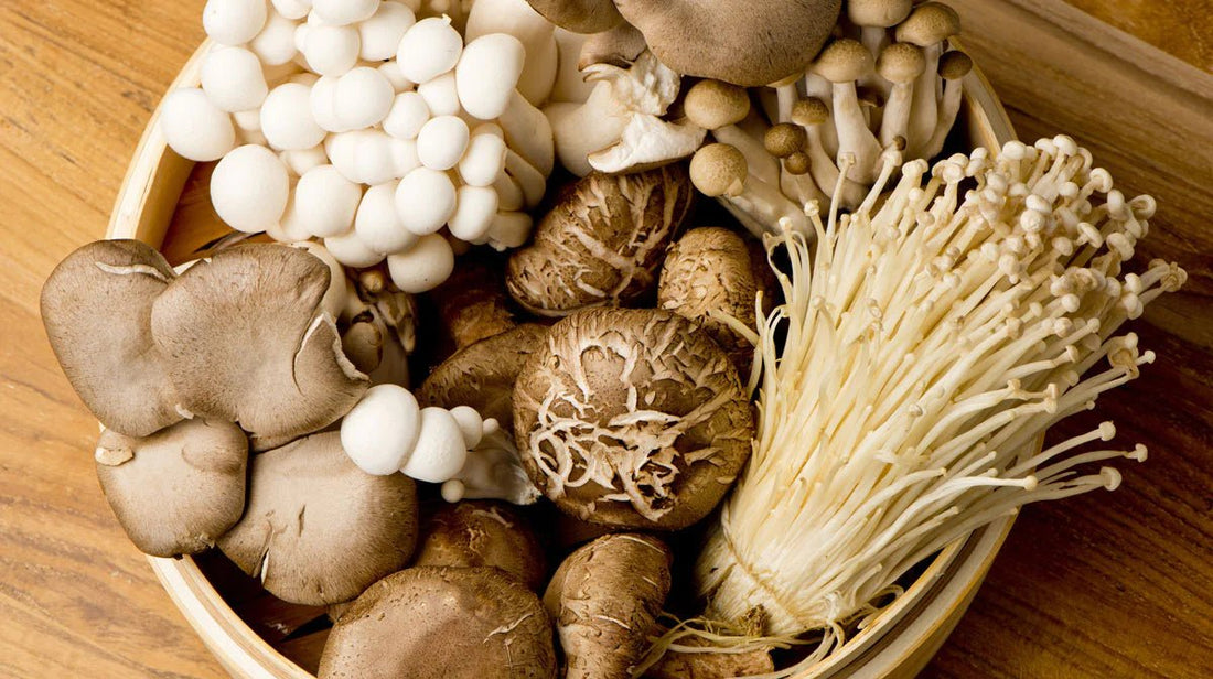 6 Mushrooms That Are Super Beneficial for Your Gut Health - Xotic Mushrooms