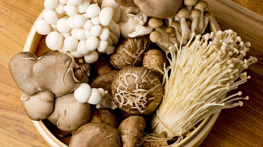 6 Mushrooms That Are Super Beneficial for Your Gut Health - Xotic Mushrooms