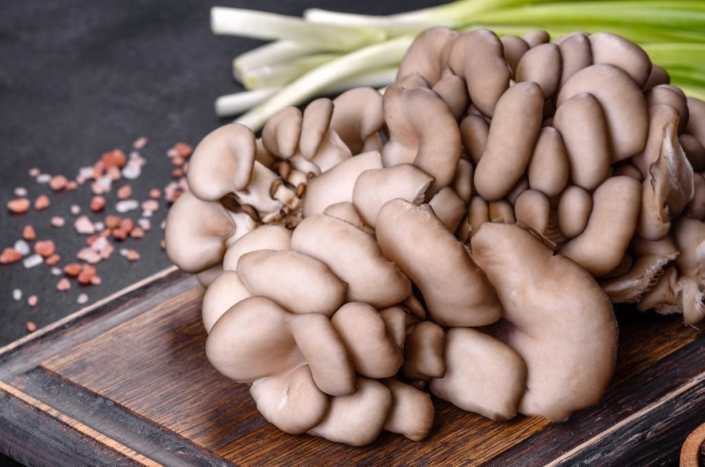 6 of the Healthiest Mushrooms You Can Eat - Xotic Mushrooms