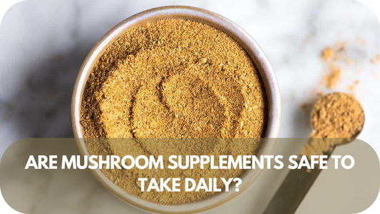 Are Mushroom Supplements Safe To Take Daily? Here’s What You Need to Know!