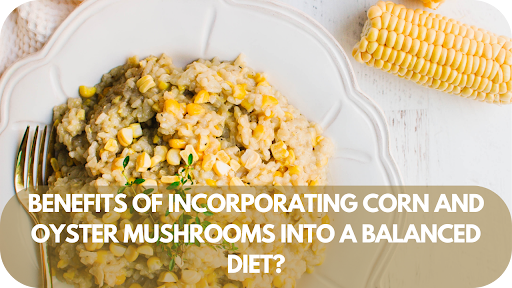 Benefits of Incorporating Corn and Oyster Mushrooms into a Balanced Diet?
