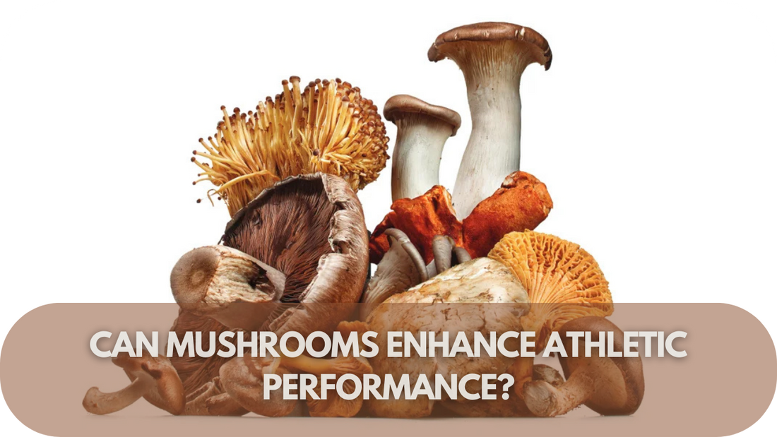 Can Mushrooms Enhance Athletic Performance Here’s What We Know!