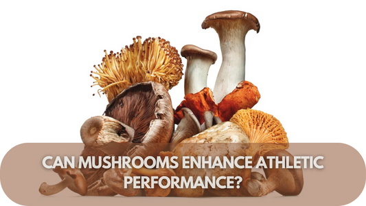Can Mushrooms Enhance Athletic Performance Here’s What We Know!