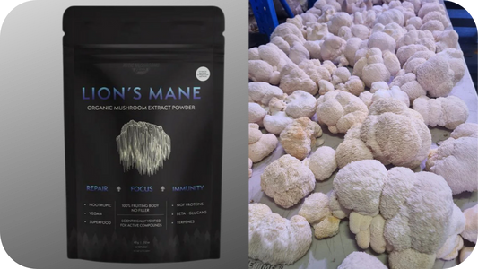 Comparing Lion's Mane Supplements Extracts Vs Whole Mushroom