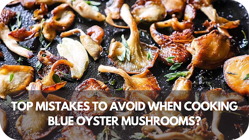 Cooking Blue Oyster Mushrooms? Don’t Make These 8 Rookie Mistakes!