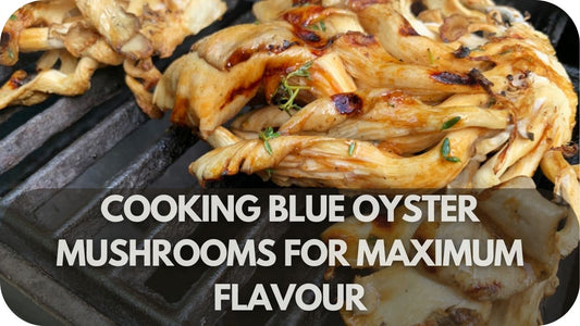 How Do You Cook Blue Oyster Mushrooms to Maximise Their Flavour?