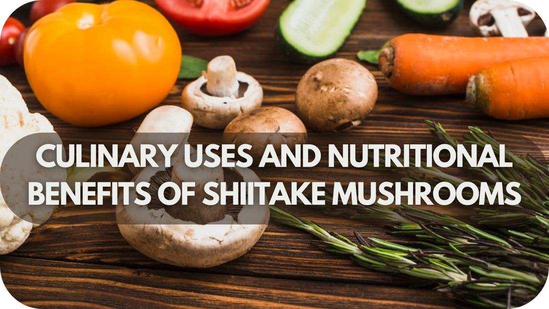 Culinary Uses and Nutritional Benefits of Shiitake Mushrooms