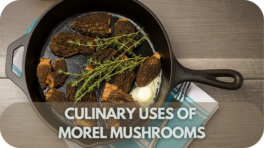 Culinary Uses of Morel Mushrooms