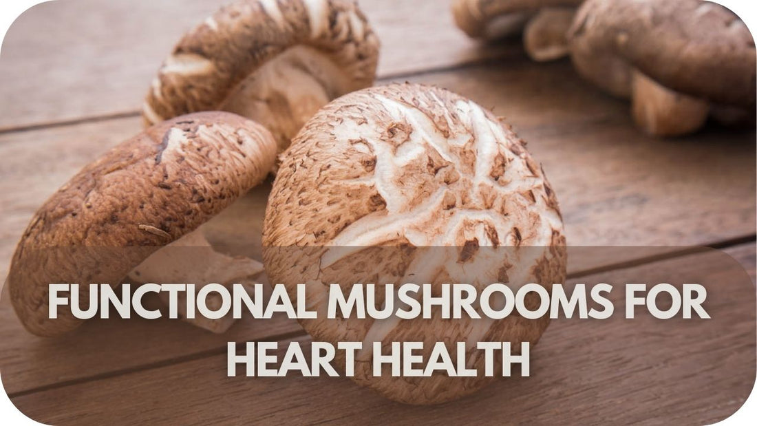 Functional Mushrooms for Heart Health: Best Ones and How to Use Them
