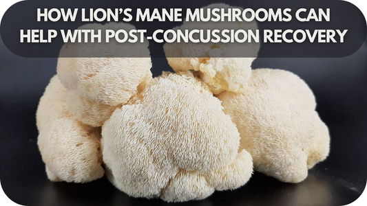 How Lion’s Mane Mushrooms Can Help with Post-Concussion Recovery
