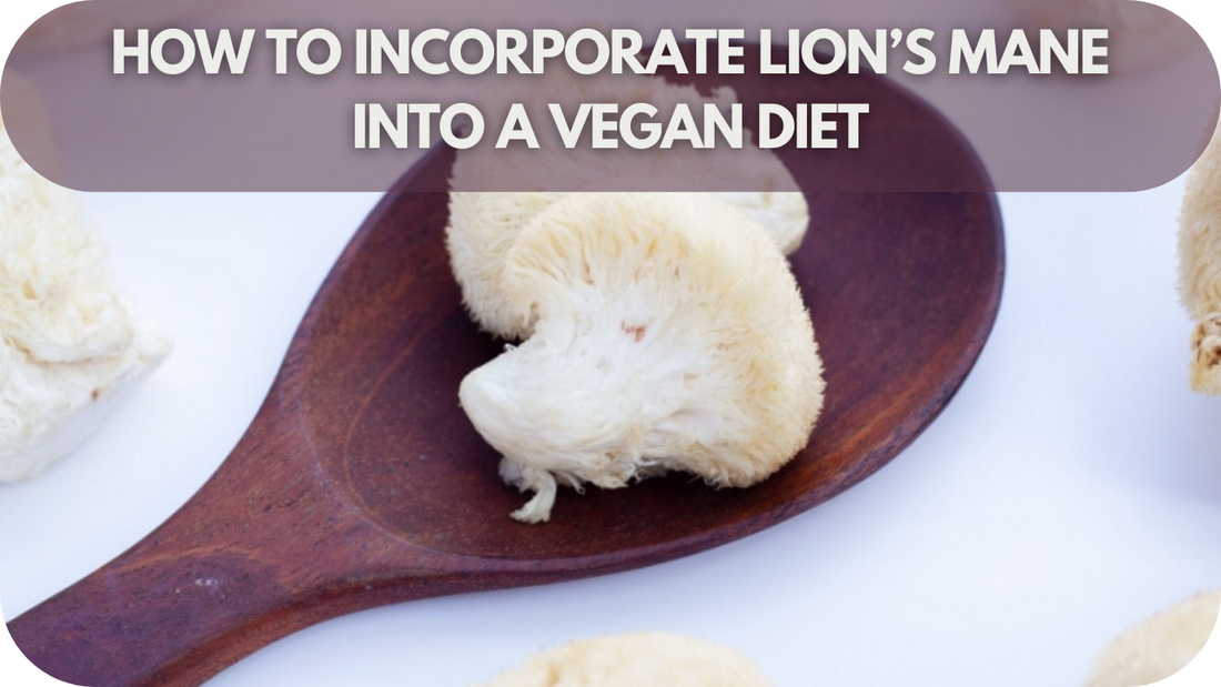 How To Incorporate Lion’s Mane Into A Vegan Diet for Maximum Benefits!