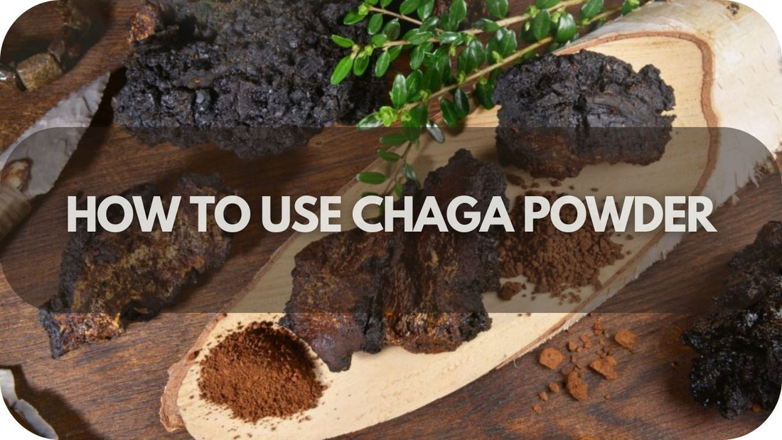 How To Use Chaga Powder: Guide To 5 Go-To Ways