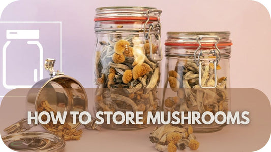 How to Store Mushrooms