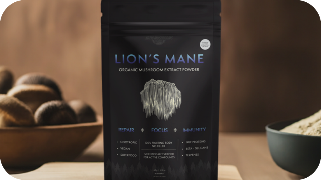 Xotic Mushrooms lion’s mane extract pouch displayed on a wooden table with whole lion’s mane mushrooms and powder arranged beside it.