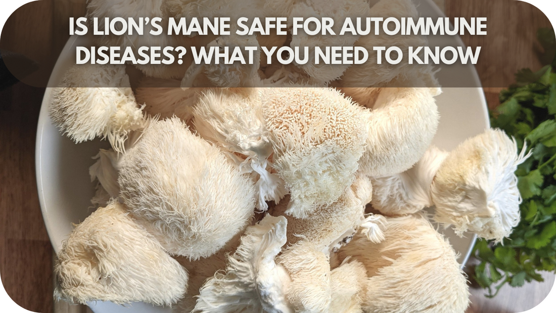 Is Lion’s Mane Safe for Autoimmune Diseases? What You Need to Know!