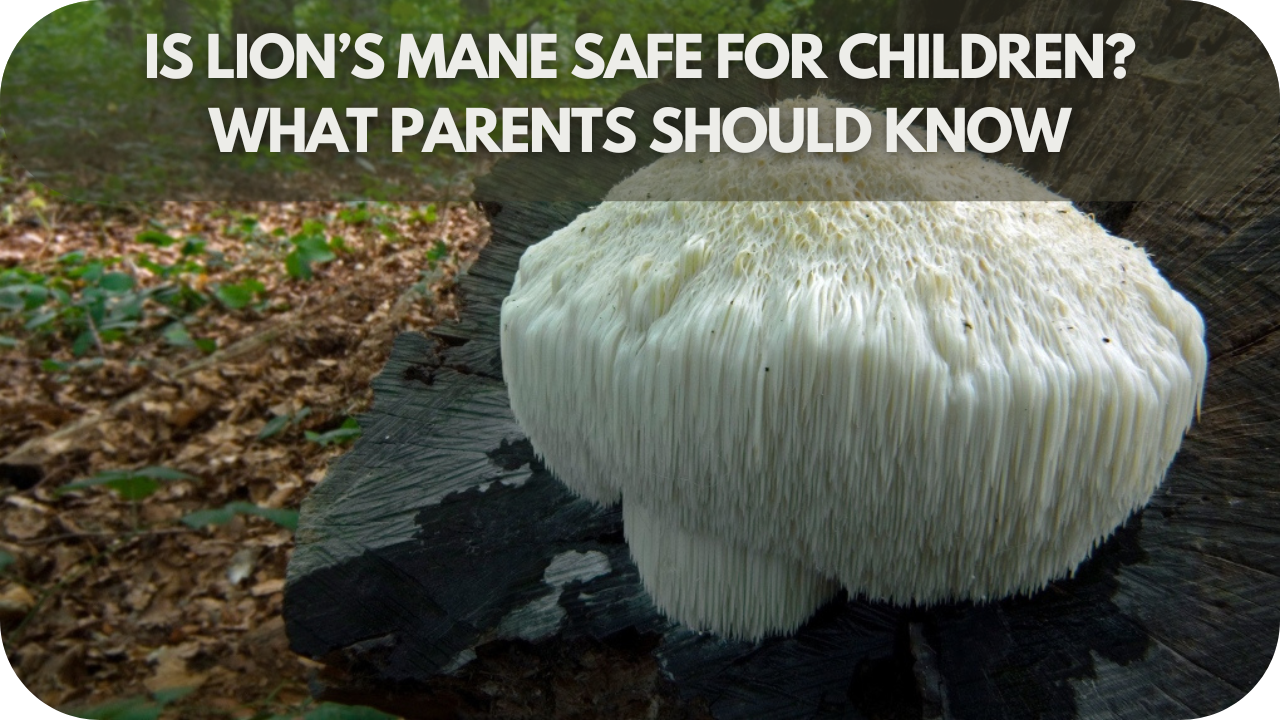 Is Lion’s Mane Safe for Children? What Parents Should Know!