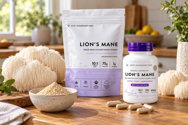 Lion's Mane in Australia shown as fresh mushroom, extract powder and capsules