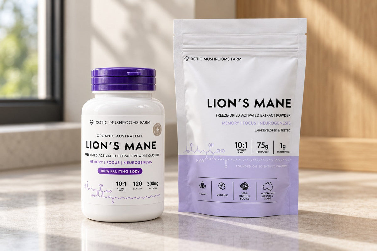 lions mane capsules and extract powder compared for buying at a chemist or online
